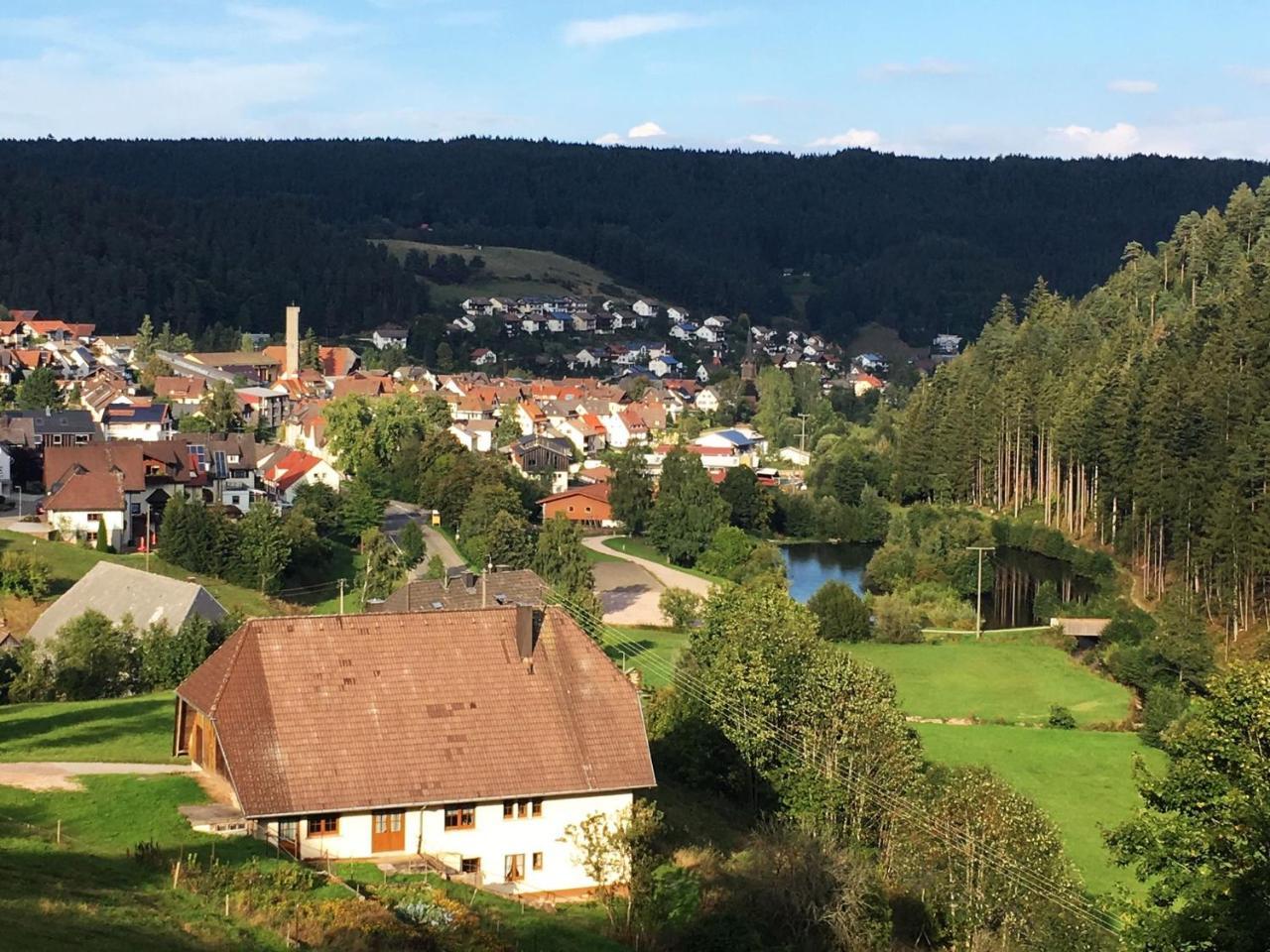 Schwarzwaldgasthaus Linde Schramberg Luaran gambar