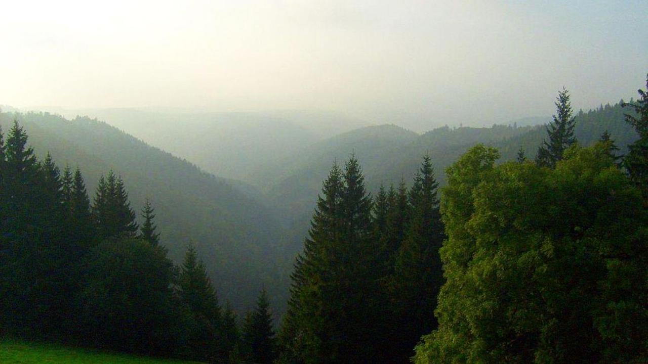 Schwarzwaldgasthaus Linde Hotel Schramberg Luaran gambar