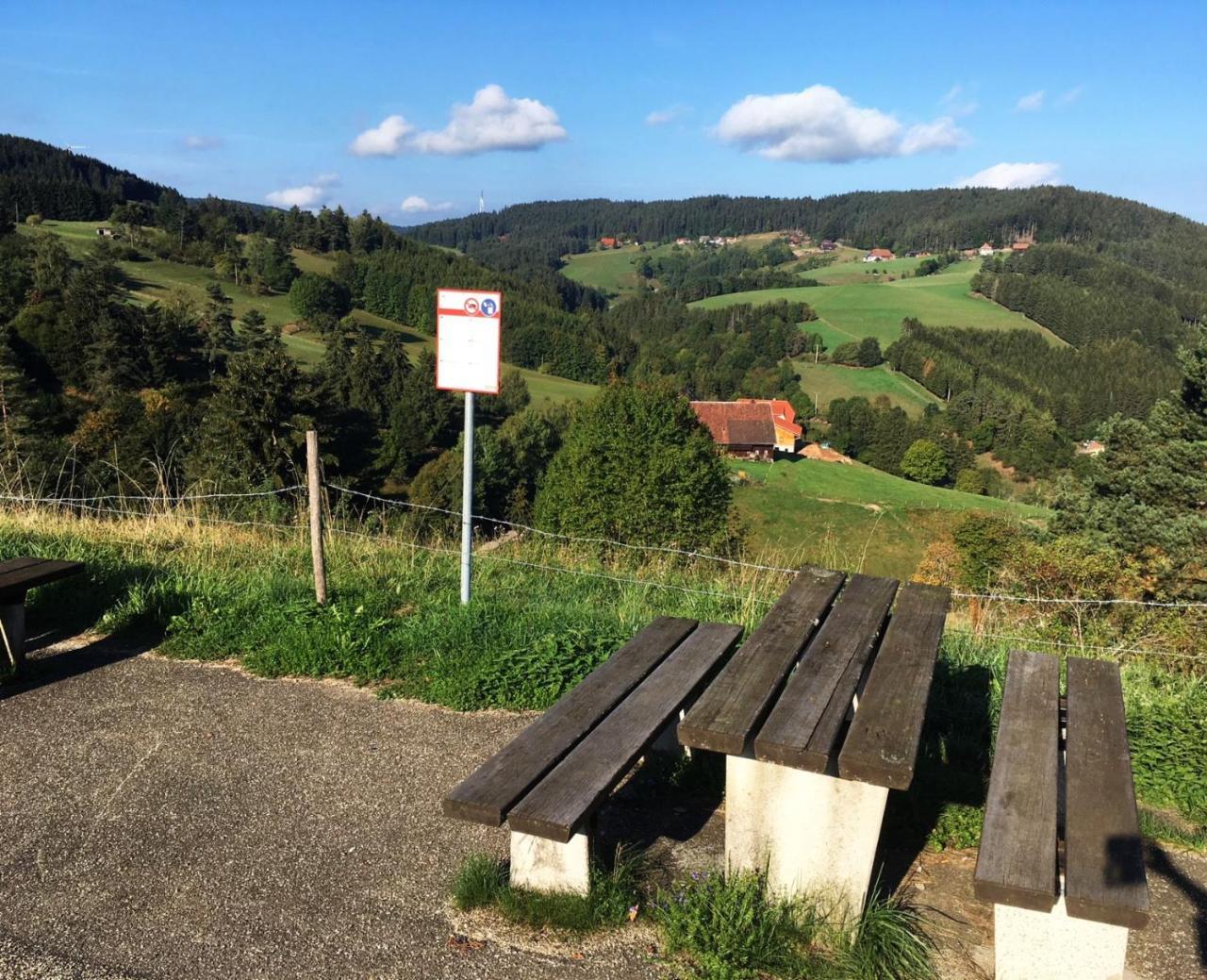 Schwarzwaldgasthaus Linde Schramberg Luaran gambar